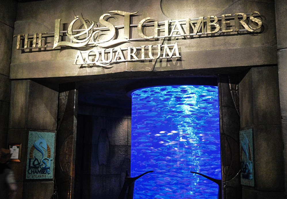 Here's Why Should Visit The Lost Chambers, Dubai