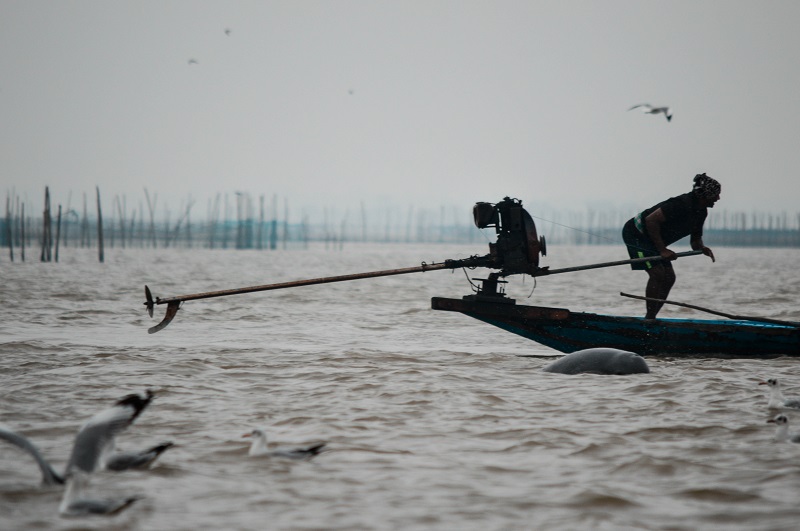 Chilika Lake: Exploring Asia's Largest Brackish Water Lagoon